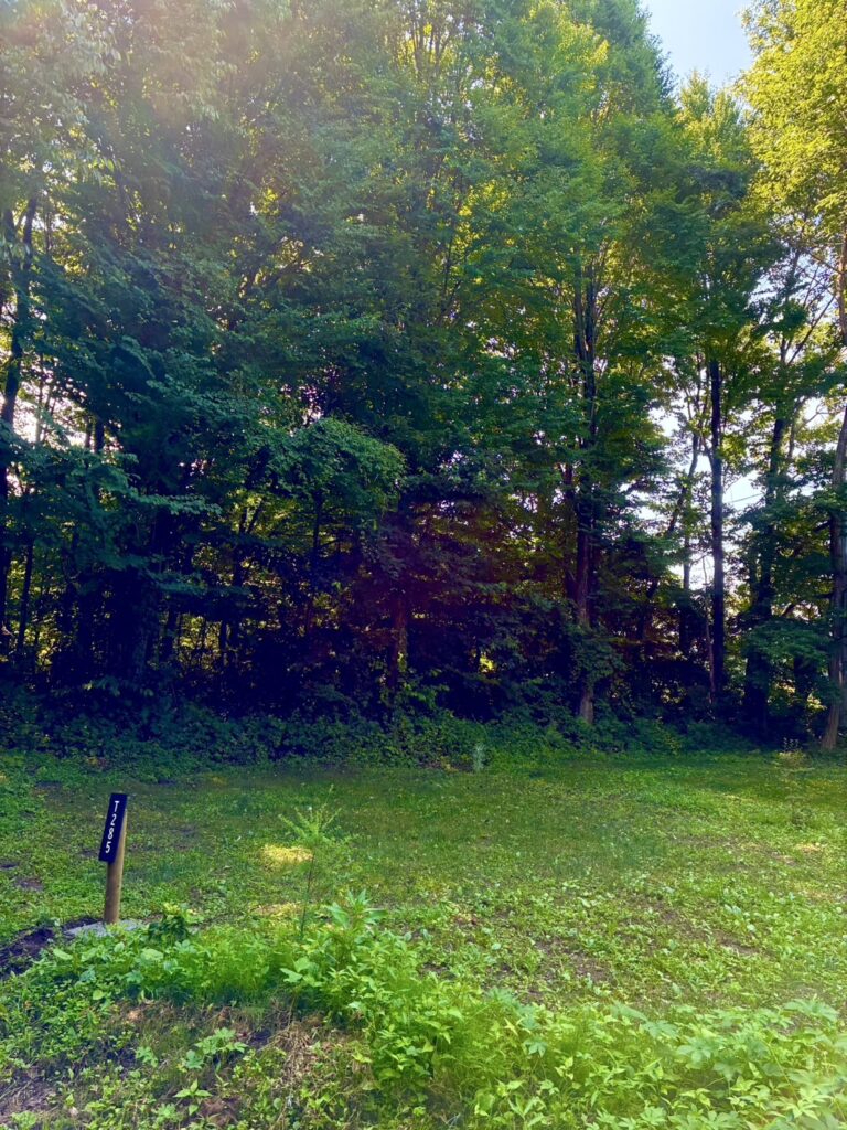 画像に alt 属性が指定されていません。ファイル名: IMG_3999-768x1024.jpeg