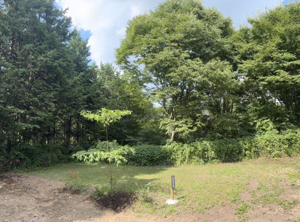 画像に alt 属性が指定されていません。ファイル名: IMG_4092-1024x760.jpeg