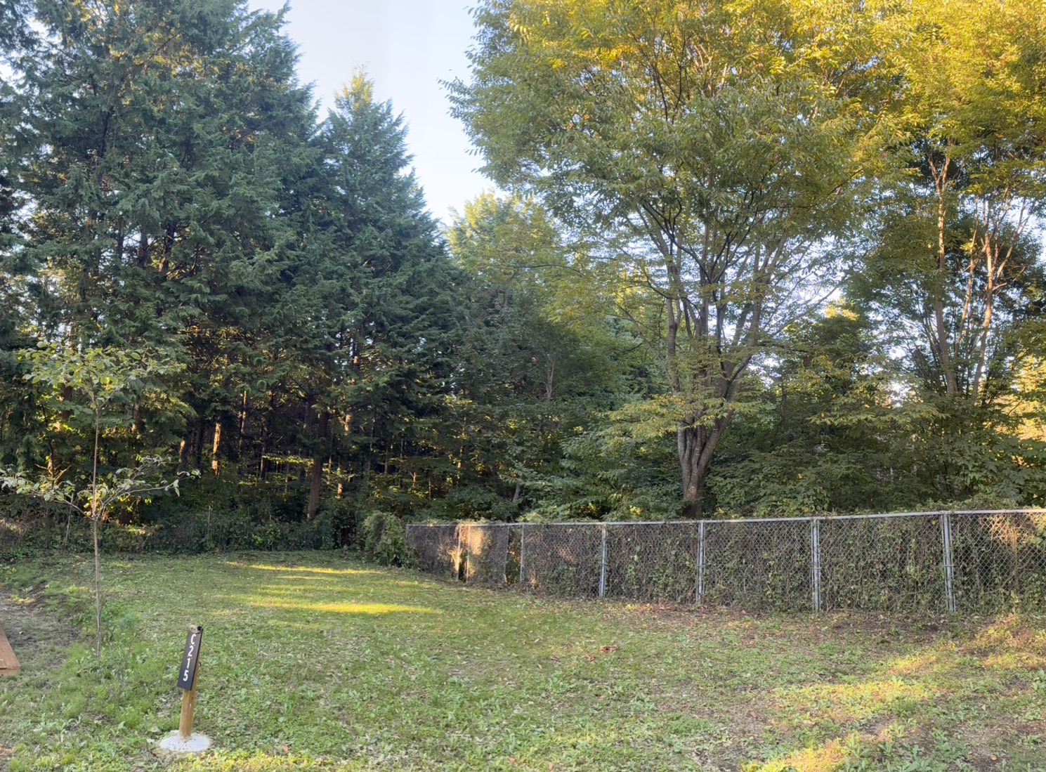 画像に alt 属性が指定されていません。ファイル名: IMG_4604.jpeg